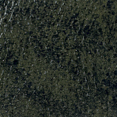 1681 Bulgaro Verde